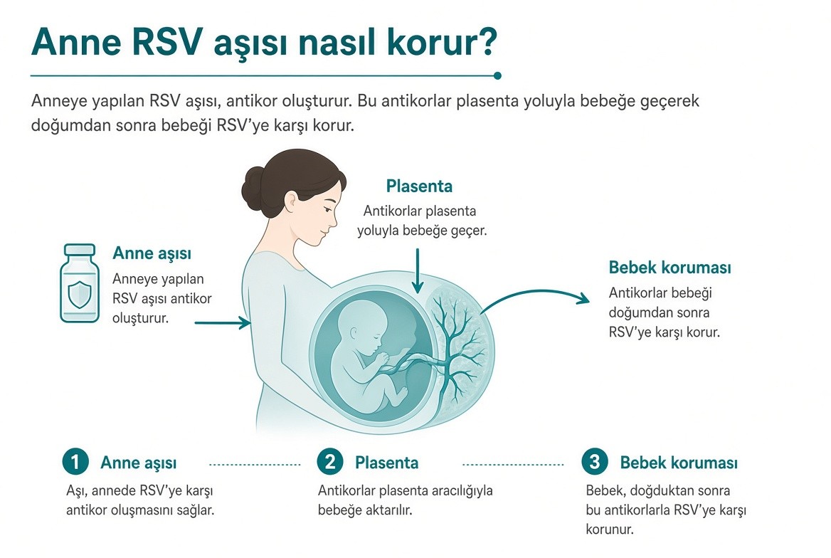 Anne RSV Aşısı Nasıl Korur?